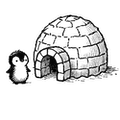 igloo and a cute penguin